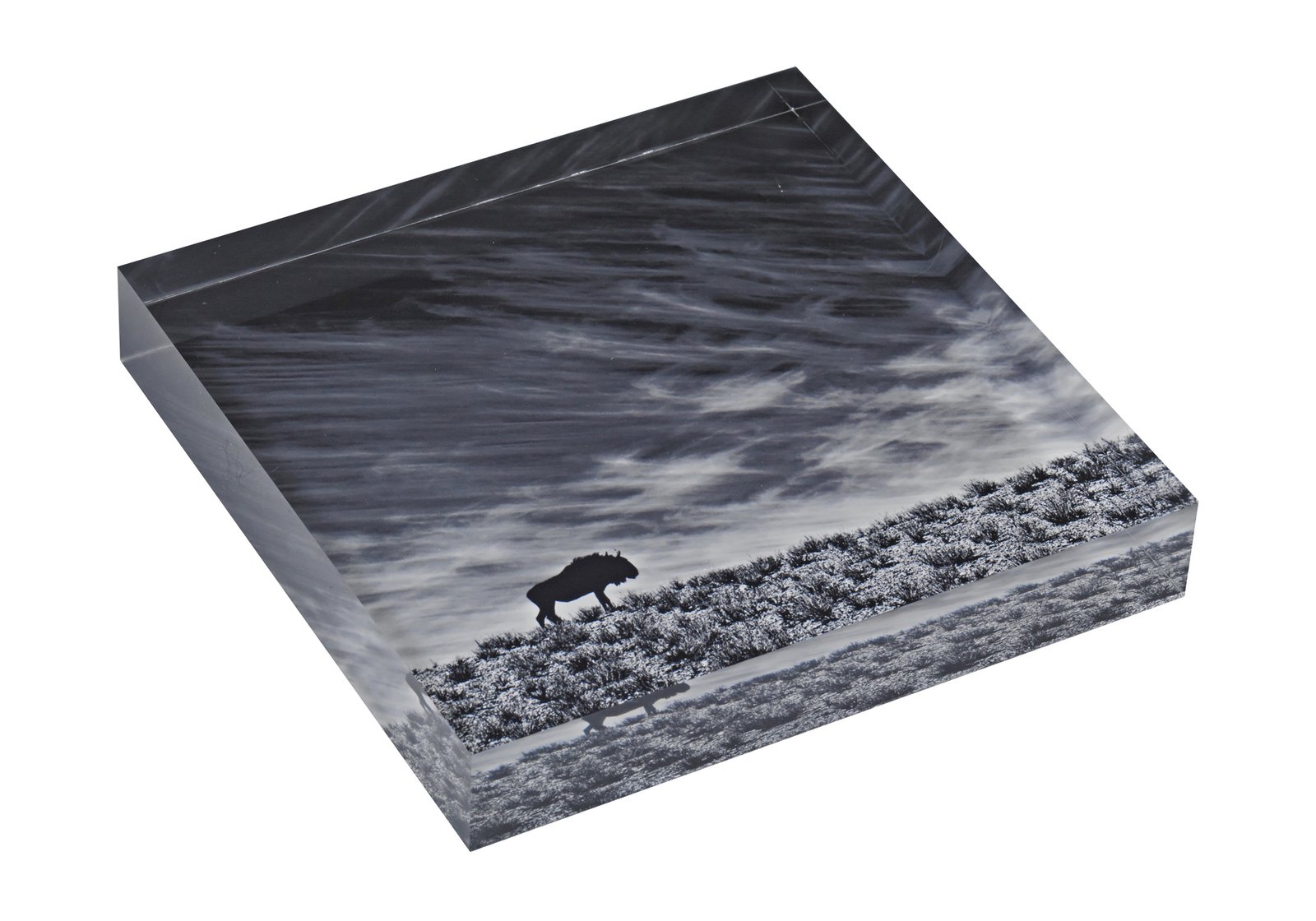 The Refractive Monolith: Diamond-Polished Acrylic Prism Prints - Image 3